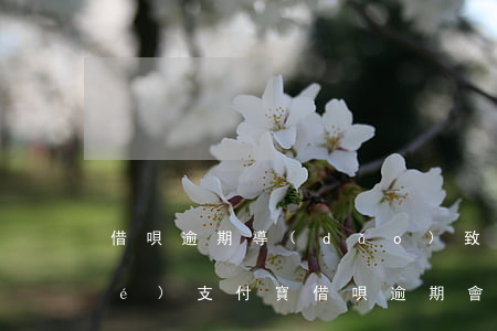 借唄逾期導(dǎo)致信用卡凍結(jié)(支付寶借唄逾期會(huì)被凍結(jié)銀行卡嗎)