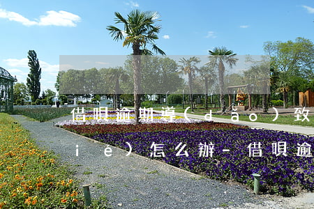 借唄逾期導(dǎo)致信用卡被凍結(jié)怎么辦-借唄逾期導(dǎo)致信用卡被凍結(jié)怎么辦理