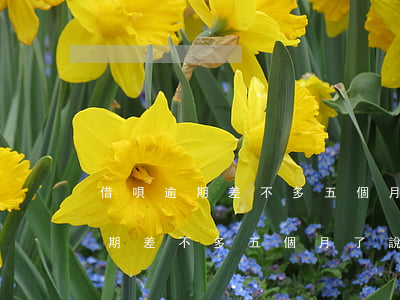 借唄逾期差不多五個月了說要上門-借唄逾期差不多五個月了說要上門催收