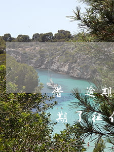 借唄逾期已結(jié)清征信記錄(借唄逾期了征信如何恢復)