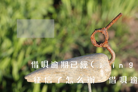 借唄逾期已經(jīng)上報(bào)征信了怎么辦-借唄逾期已經(jīng)上報(bào)征信了怎么辦呢