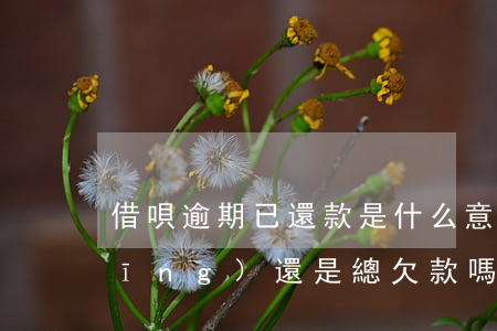 借唄逾期已還款是什么意思(借唄逾期應(yīng)還是總欠款嗎)