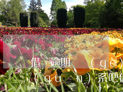 借唄逾期幾個(gè)小時(shí)沒關(guān)系吧(借唄逾期半個(gè)小時(shí))