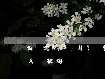 借唄逾期幾個月了說要起訴(借唄逾期八萬多久會被起訴)