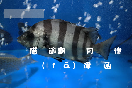 借唄逾期幾個月會給律師函(借唄欠款多久會發(fā)律師函)