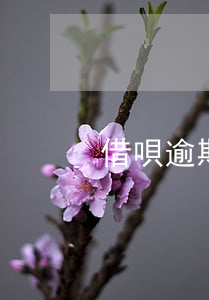 借唄逾期幾個月還可以用花唄嗎-