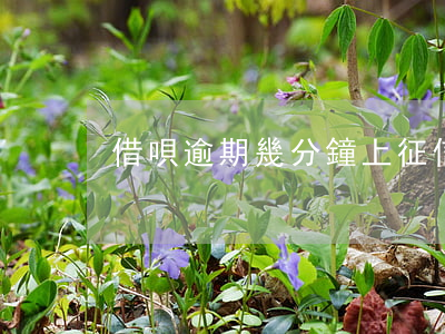 借唄逾期幾分鐘上征信嗎
