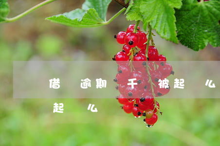 借唄逾期幾千會被起訴么(借唄逾期幾千會被起訴么)
