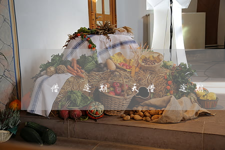 借唄 逾期幾天(借唄逾期幾天會通知家人)
