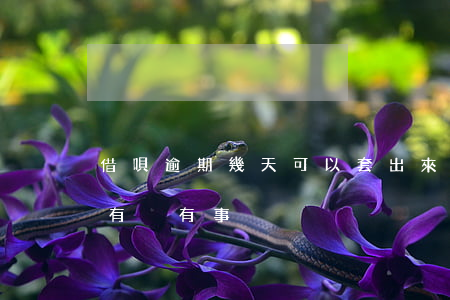 借唄逾期幾天可以套出來么(借唄逾期兩三天有沒有事?)