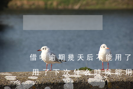 借唄逾期幾天后不能用了(借唄逾期2天不能用了,下次什么時候能用)