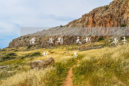 借唄逾期幾天影響買房子嗎(借唄逾期過一天會影響買房嗎?)