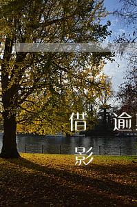 借唄逾期幾天會停止借款(借唄逾期幾天有啥影響嗎)