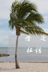 借唄逾期幾天會影響征信(借唄多久逾期會上征信)