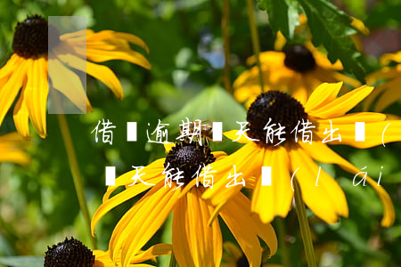 借唄逾期幾天能借出來(lái)(借唄逾期幾天能借出來(lái))