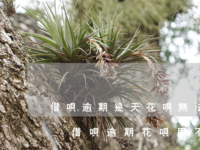 借唄逾期幾天花唄無法正常購(gòu)物-借唄逾期花唄用不了了還款多久后才可以使用