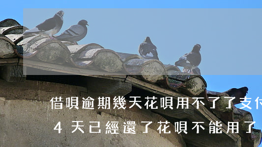 借唄逾期幾天花唄用不了了(支付寶借唄逾期4天,已經還了,花唄不能用了)