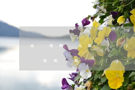 借唄逾期幾天被凍結(jié)了怎么還(借唄逾期會被凍結(jié)嗎)