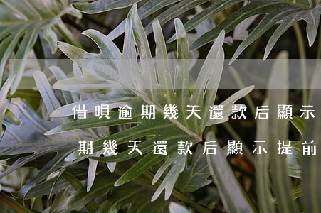 借唄逾期幾天還款后顯示提前還款-借唄逾期幾天還款后顯示提前還款什么意思