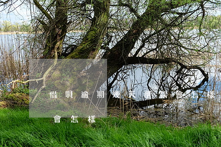 借唄逾期幾天還款會怎樣(借唄逾期幾天還款會怎樣)