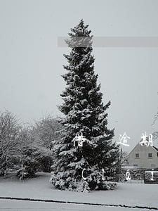 借唄逾期幾天還進(jìn)去還能借出來(lái)嗎-借唄逾期幾天還進(jìn)去還能借出來(lái)嗎