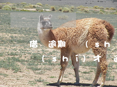 借唄逾期幾時(shí)才開通(借唄逾期幾時(shí)才開通)