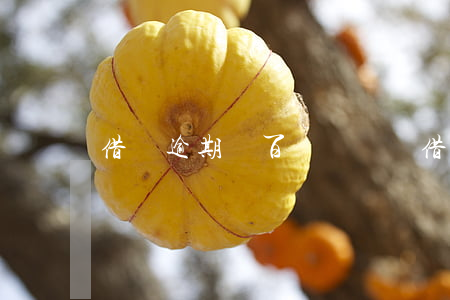 借唄逾期幾百塊錢沒還(借唄逾期幾百塊錢沒還)