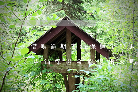 借唄逾期店鋪保證金能退出來嗎-借唄逾期店鋪保證金能退出來嗎安全嗎