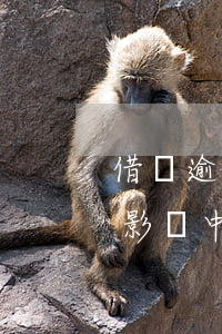 借唄逾期影響中行信用卡辦理嗎-借唄逾期影響中行信用卡辦理嗎知乎