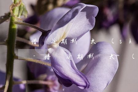 借唄逾期影響大數(shù)據(jù)嗎-借唄逾期影響大數(shù)據(jù)嗎怎么辦