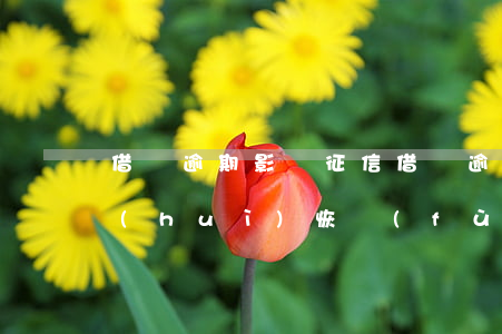 借唄逾期 影響 征信(借唄逾期影響征信多久會(huì)恢復(fù))