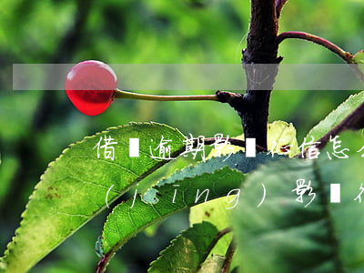 借唄逾期影響征信怎么辦(借唄顯示逾期,已經(jīng)影響征信了嗎?)