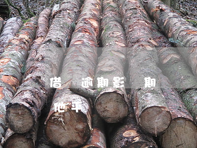 借唄逾期影響期貨開戶嗎(借唄逾期會影響其他平臺嗎)