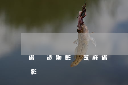 借唄逾期影響芝麻借唄嗎(借唄不逾期會不會影響)