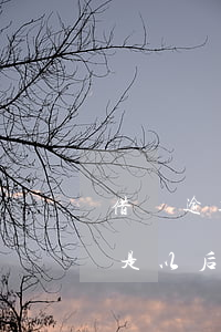 借唄逾期影響花唄不能用(借唄逾期花唄是不是以后都不能用了?)