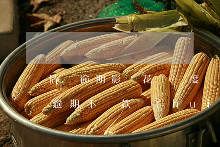 借唄逾期影響花唄額度嗎(支付寶的借唄花唄逾期不還款會(huì)有什么影響)