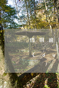 借唄逾期影響買機(jī)票嗎 借唄逾期對(duì)以后買機(jī)票高鐵票有影響嗎