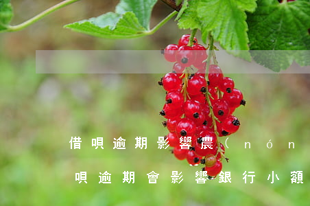 借唄逾期影響農(nóng)村信用貸么(借唄逾期會影響銀行小額貸款嗎)