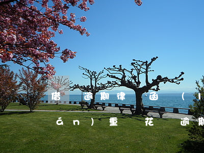 借唄逾期律師函來(lái)了后果嚴(yán)重嗎（花唄逾期 律師）