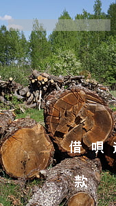 借唄逾期從支付寶扣-借唄逾期從支付寶扣款
