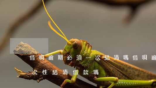 借唄逾期必須一次結清嗎(借唄逾期會要求一次性結清借款嗎)