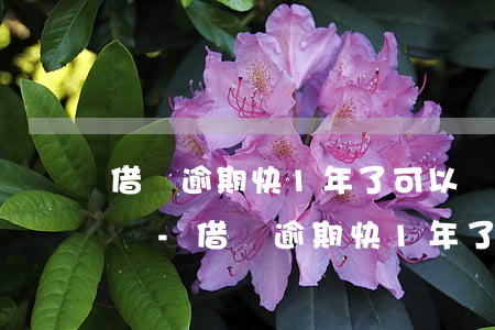 借唄逾期快1年了可以協(xié)商分期嗎-借唄逾期快1年了可以協(xié)商分期嗎怎么辦