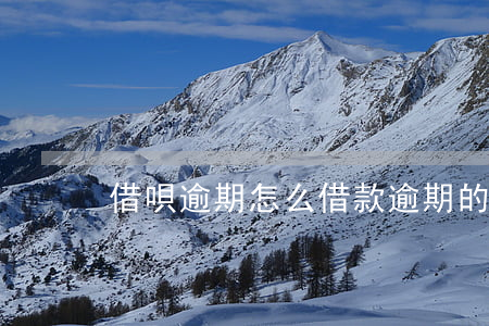 借唄逾期怎么借款（逾期的借唄在哪里還款）