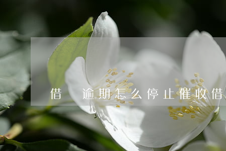 借唄逾期怎么停止催收(借唄逾期怎樣銷除)