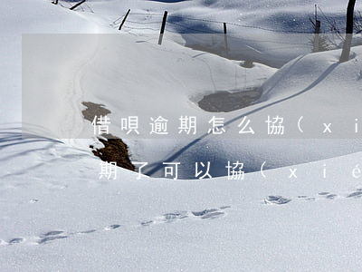 借唄逾期怎么協(xié)商再分期(借唄逾期了可以協(xié)商二次分期還款嗎)
