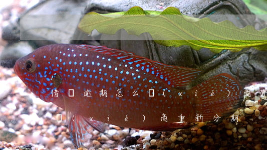 借唄逾期怎么協(xié)商分期重組(借唄協(xié)商重新分期)
