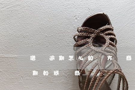 借唄逾期怎么和對方協商停息掛賬-借唄逾期如何協商