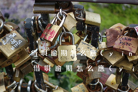 借唄逾期怎么應(yīng)對(duì)(借唄逾期怎么應(yīng)對(duì)的)