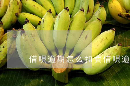 借唄逾期怎么扣費(借唄逾期每天收多少費用)
