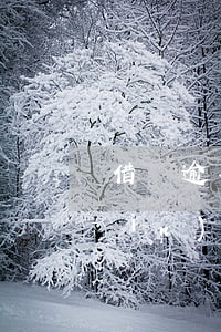 借唄逾期怎么把錢還回來(借唄逾期還進(jìn)去還可以借款嗎?)